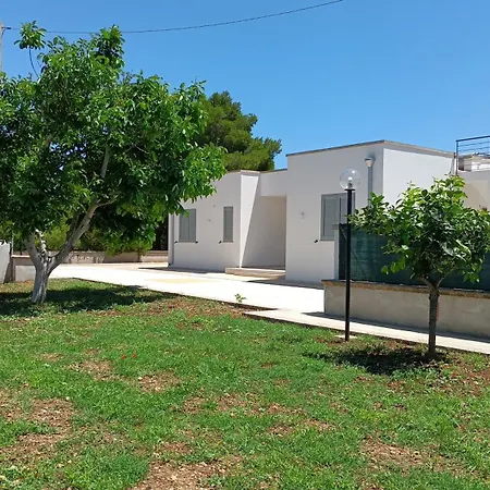 Smilax - Hydruntum 3*