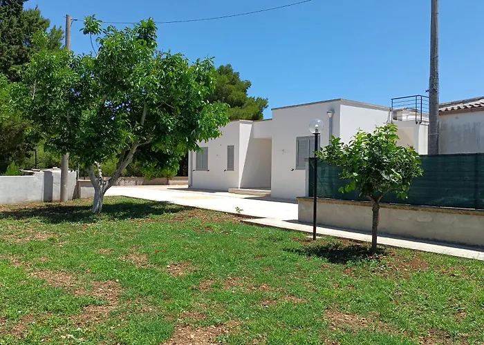 Smilax - Hydruntum 3*